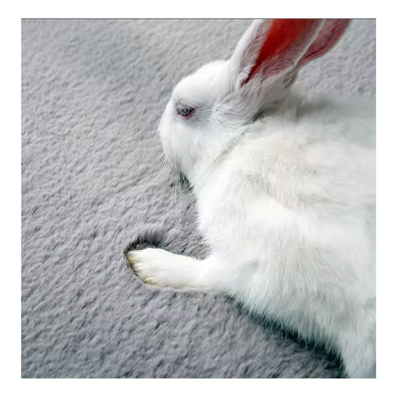 Deluxe washable fur rug, soft high-pile rug in a solid color, cozy for your living room or bedroom-zoom-